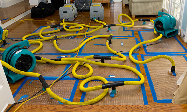 Professional Basement Flood Cleanup technician working in Ahwahnee, CA